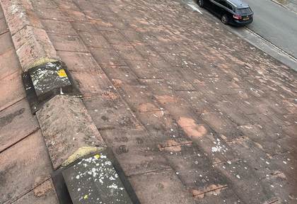 Moss cleared from tiled roof, after