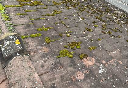 Moss cleared from tiled roof, before